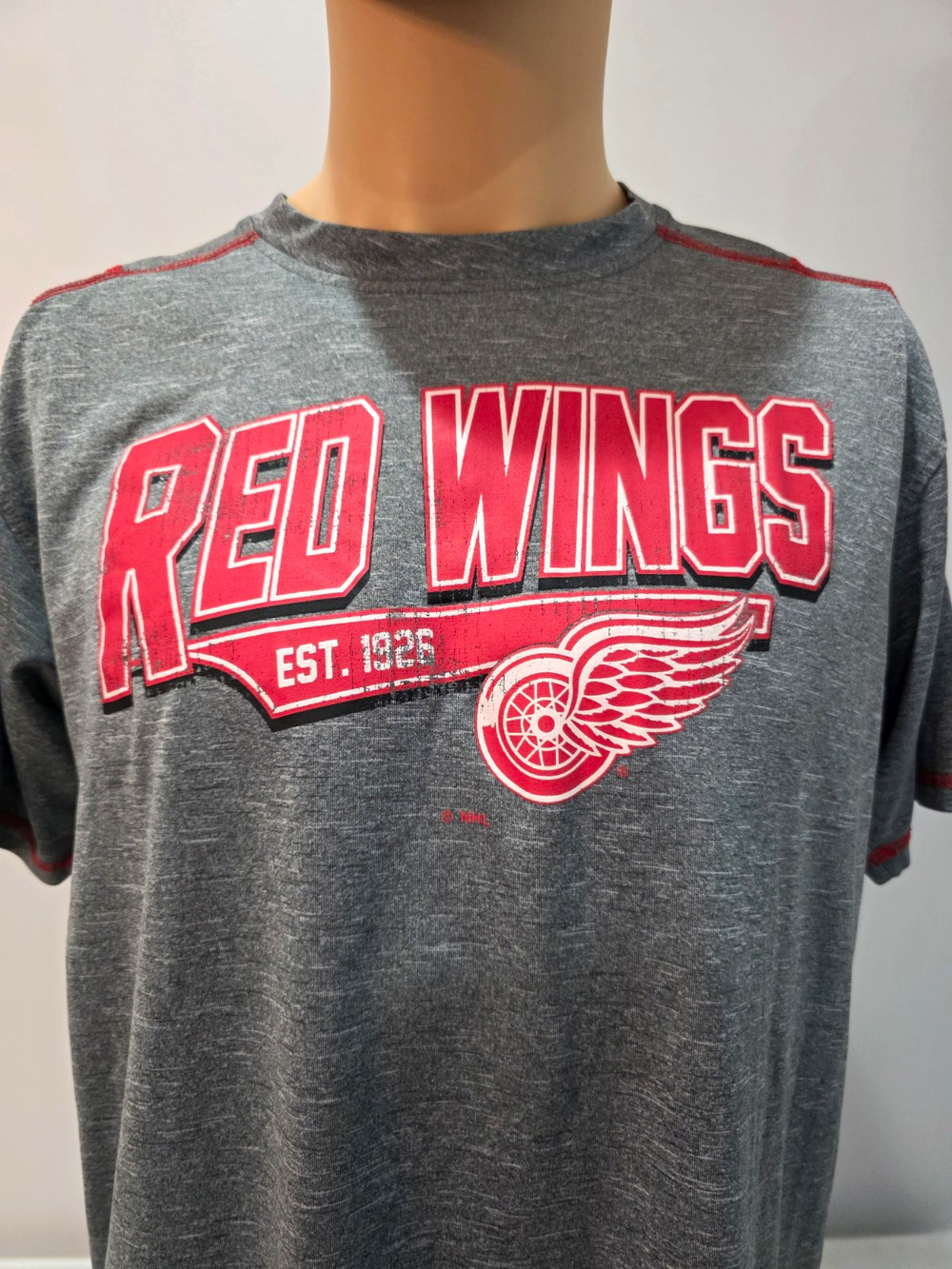 Detroit Red Wings NHL Shirt L/G Gray Red Short Sleeve Officially Licensed